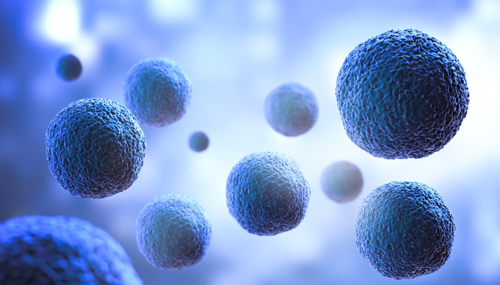 Entenda o passo a passo da terapia CAR-T: da coleta de linfócitos à infusão e acompanhamento, com suporte especializado da Verdie em cada etapa.