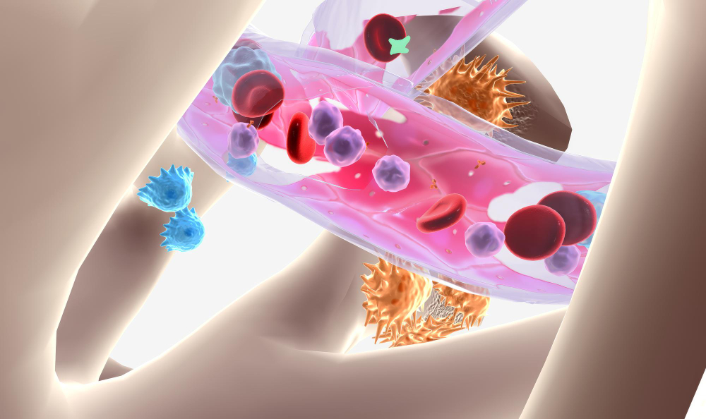 Saiba o que é o mieloma múltiplo, sintomas e avanços em terapias como CAR-T. Conheça a Verdie e descubra opções para médicos e pacientes.